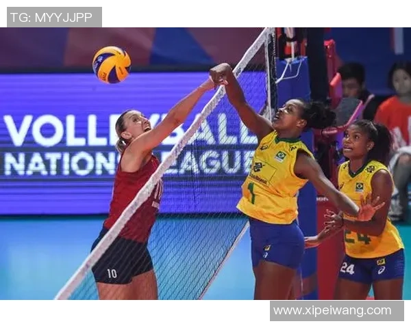 巴西排球与法国排球的巅峰对决谁将赢得荣耀之战